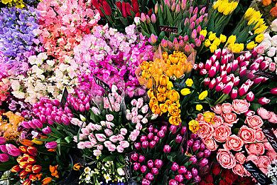 火爆爽快街机游戏《极速特工》于3月30日登陆主机