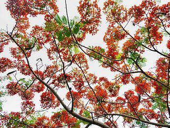 《光环：无限》多人模式即将更新 Playlist年内获升级